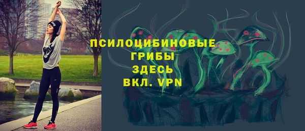 дмт Инсар