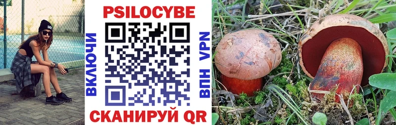 Купить  Красновишерск  Псилоцибиновые грибы мухоморы 